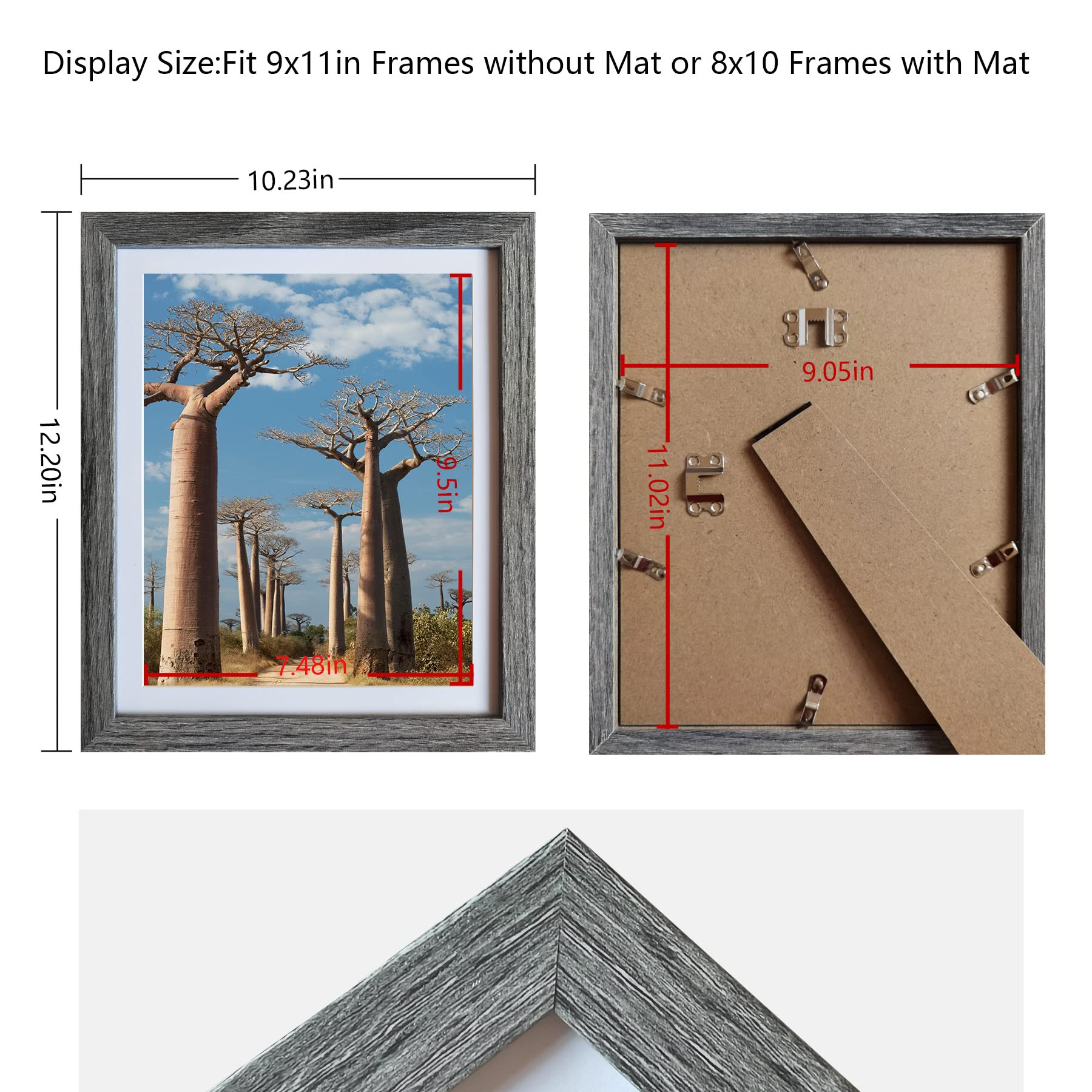 https://m.media-amazon.com/images/I/81o91Ei1iiL.jpg