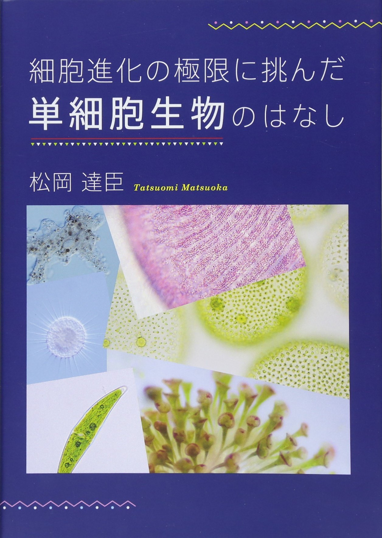 Amazon.co.jp: 細胞進化の極限に挑んだ単細胞生物のはなし : 本