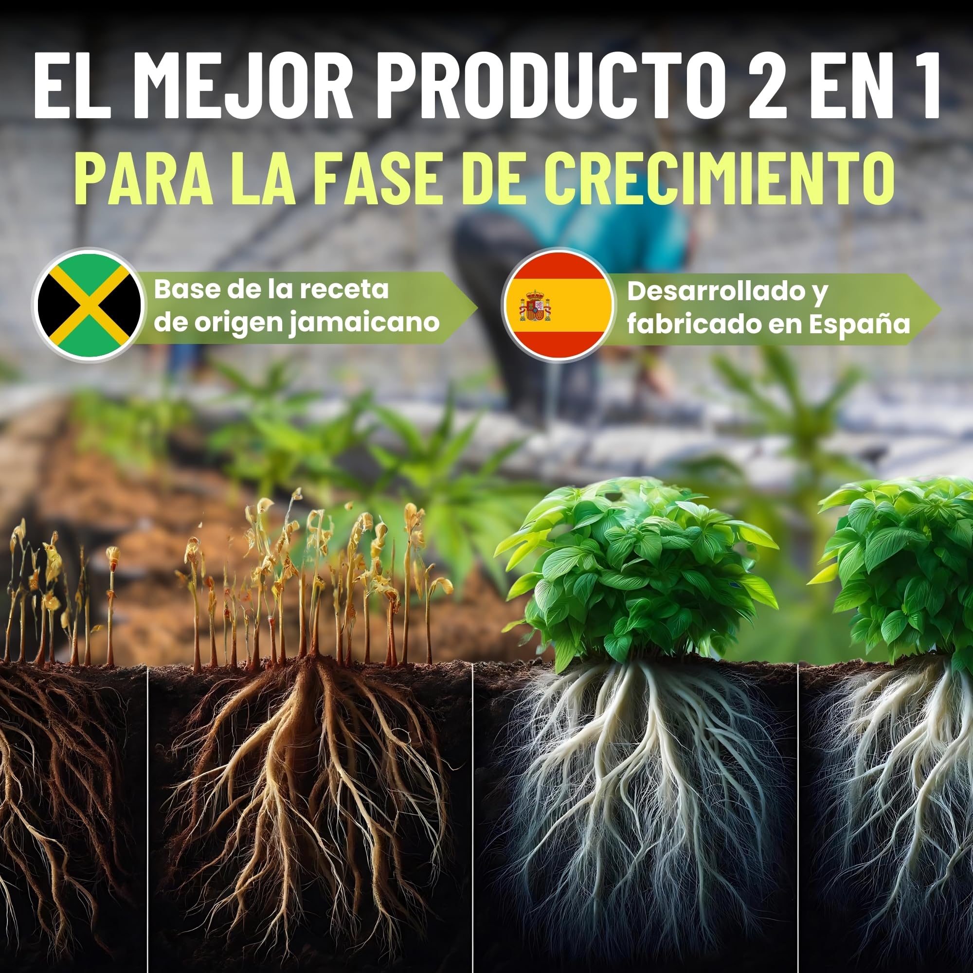 MADAME GROW Growth Accelerator 1 Litro | Enraizante Orgánico y Abono Crecimiento 2 en 1 | Estimulador de Raíces Blancas | Fertilizante Crecimiento para Esquejes y Trasplantes