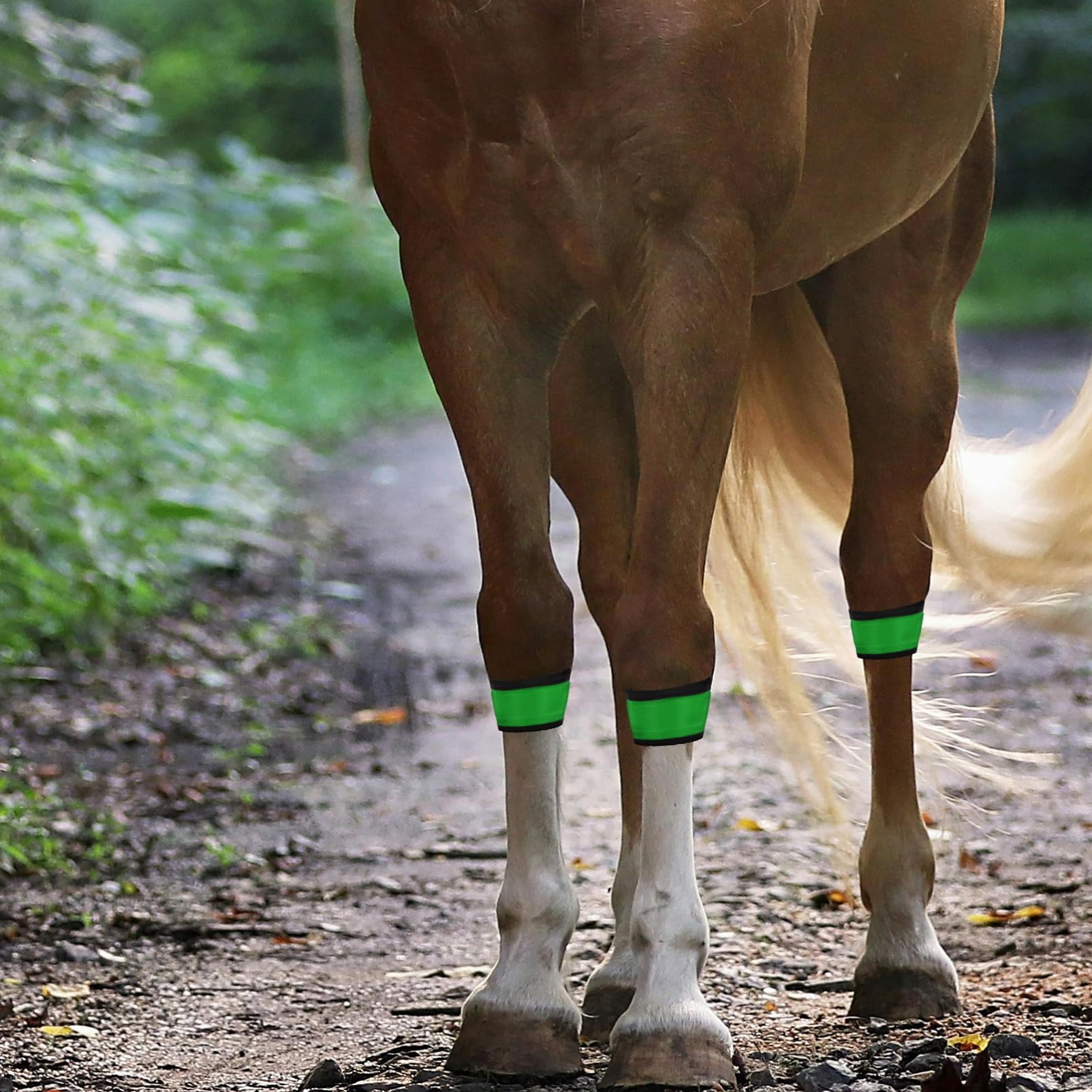 4 Stück LED Leuchtende Pferdebeinbänder, Hohe Sichtbarkeit, Reflektierende Riemen, Nachtsicherheitsausrüstung Für Reiten, Reitausrüstung