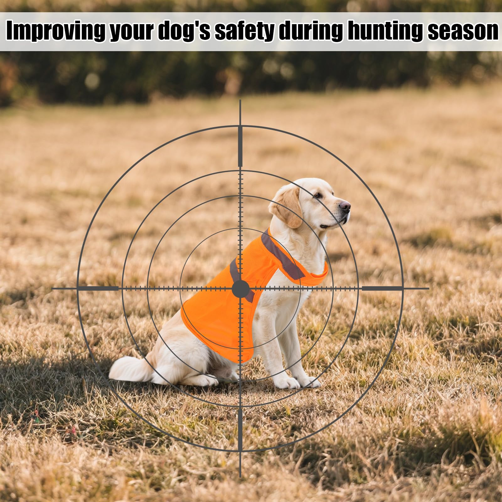 2pcs Gilet Réfléchissant pour Chien, Petite Taille Gilets Sécurité Chiens Orange Vif Haute Visibilité Adaptés à l'Entraînement en Extérieur au Jogging et à Chasse