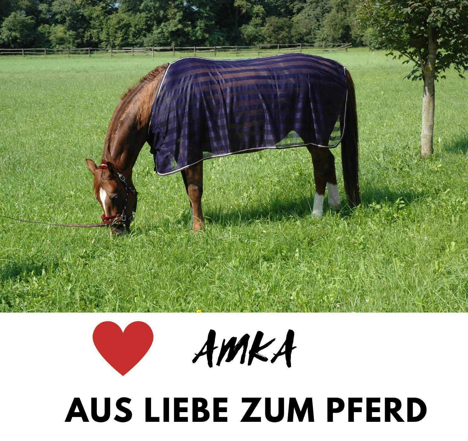 AMKA Pferdedeckenhalterung Länge VERSTELLBAR Schabrackenhalter Deckenhalter