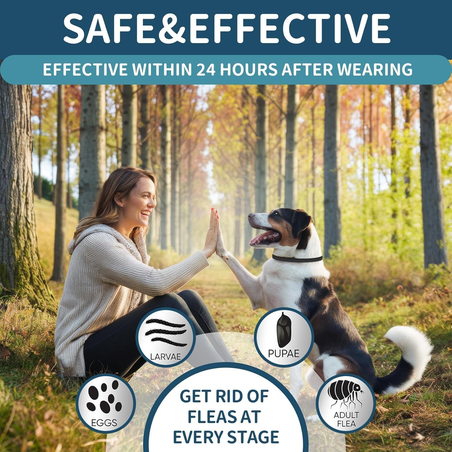 Ultimate Defense: Flea and Tick Collar for Dogs β 32 Months of Protection!