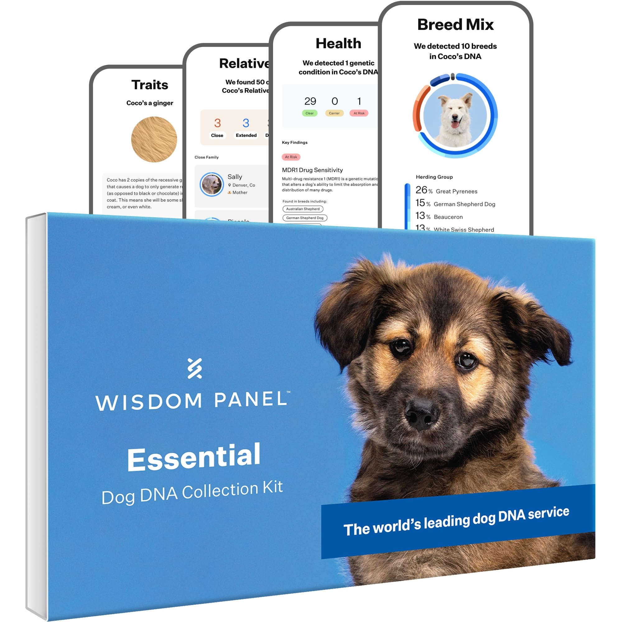Wisdom Panel Essential Dog DNA Testing Kit