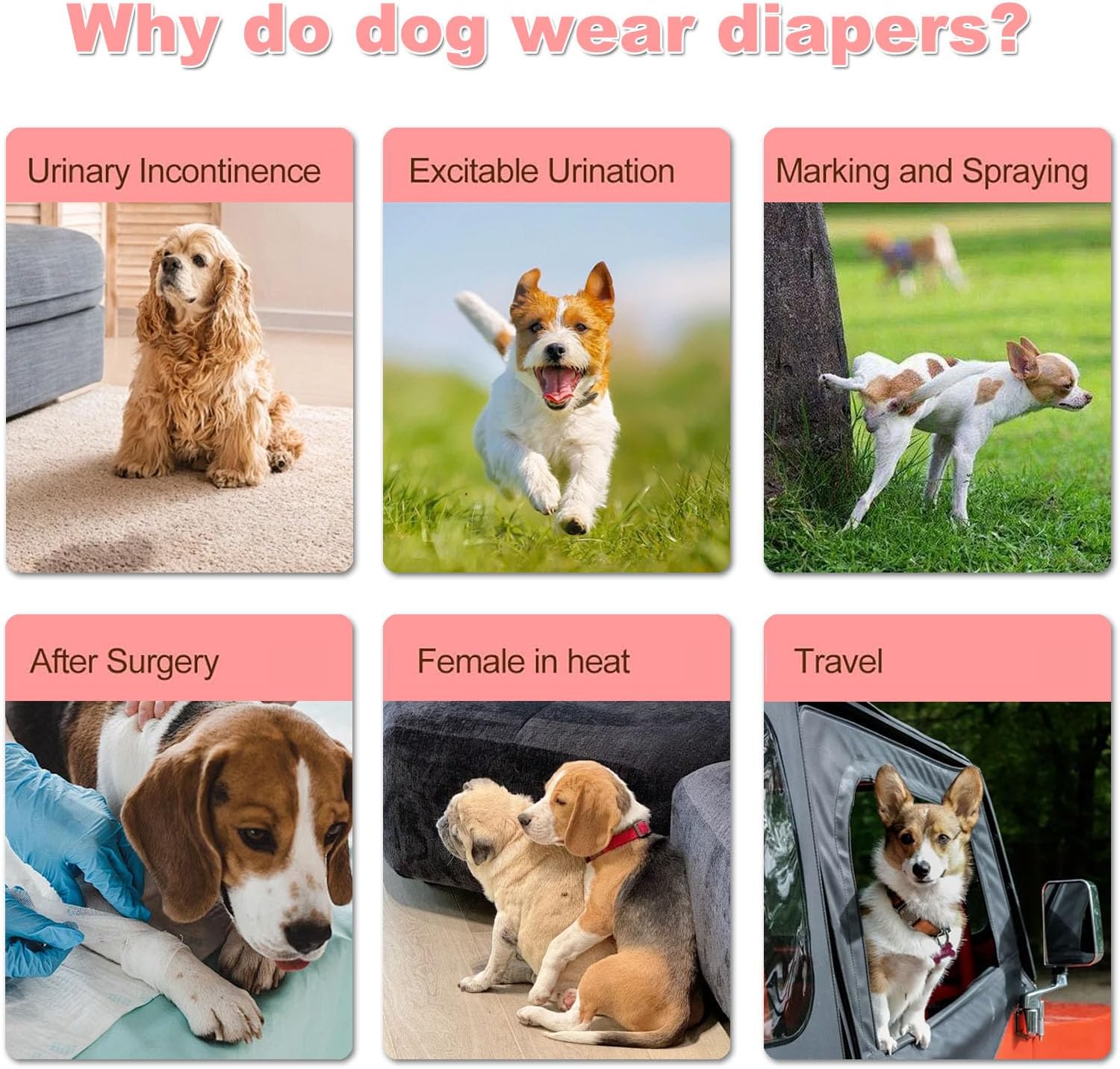 10Pcs Dog Diapers Female,Disposable Pull Up Stretchy Waist Wraps for Female Puppy Dogs in Heat Period, Strong Absorbency | Leak Proof | Elderly | Doggie Training Incontinence S