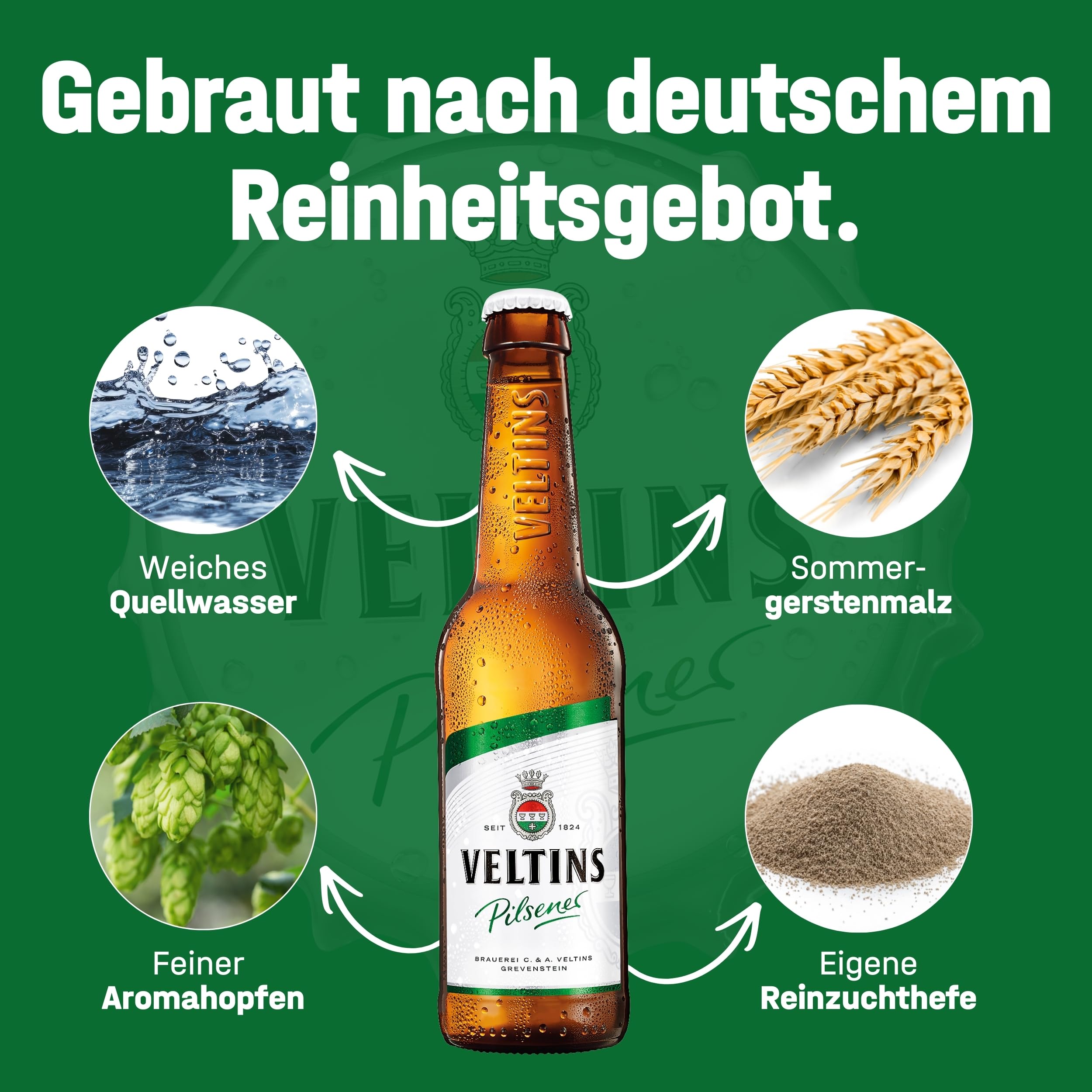 VELTINS Pilsener – 24 x 0,5 l Dosenbier (EINWEG) – Fein-herbes Premium Pils – Brautradition seit 1824 – Frisch & ausgewogen – 4,8 % vol. Alkohol - 3