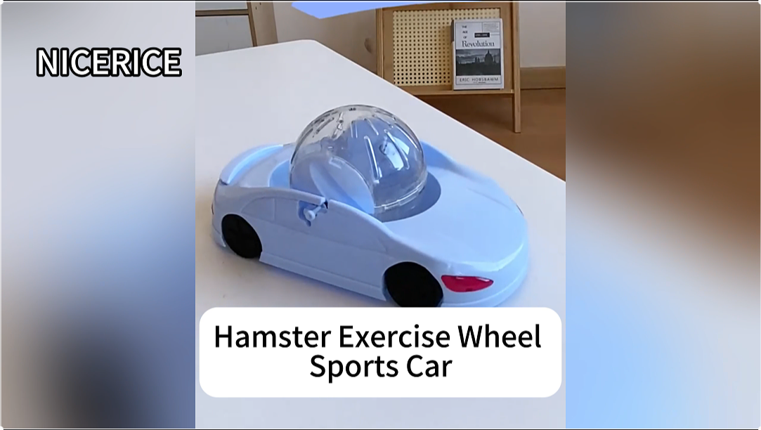 Fdit 7.3 ''Hamster Oefening Ball Roll en Rround Kleine Huisdier Gerbil Guinee Stille Jogging Running Wheel Play Rolling Toy (blauw