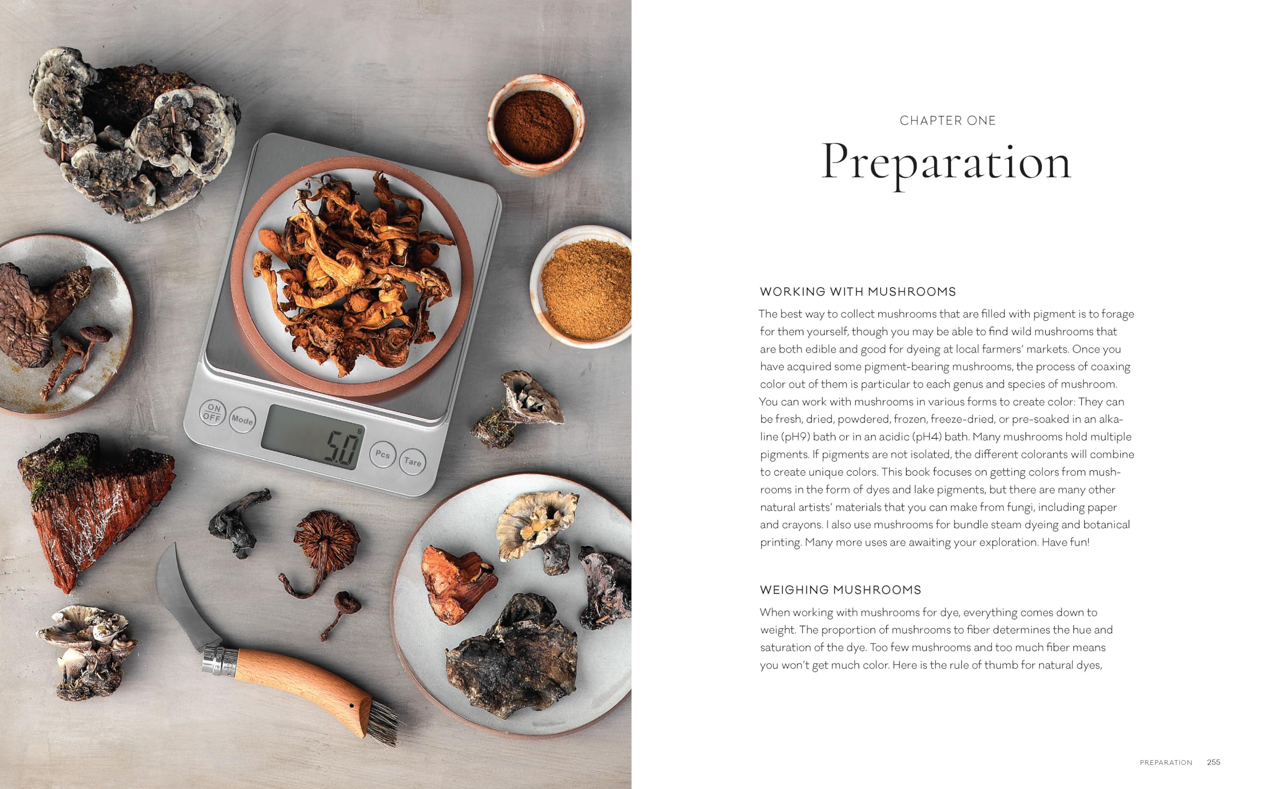 The Mushroom Color Atlas: A Guide to Dyes and Pigments Made from Fungi