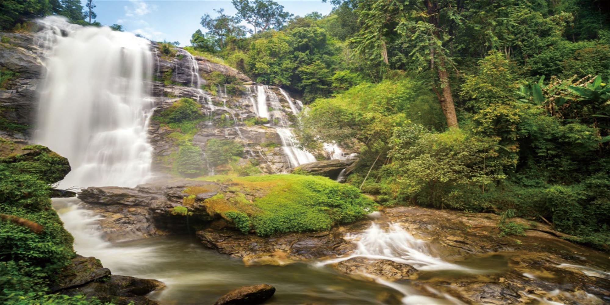 MIRRORANG 61x41cm Waterfall Aquarium Terrarium Background Tropical Rainforest Background Mountain Lake Green Tree Reptile Habitat Background — image 1