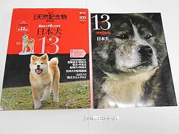 81oA3LhbuVL._AC_UF350, 81oA3LhbuVL._AC_UF350,