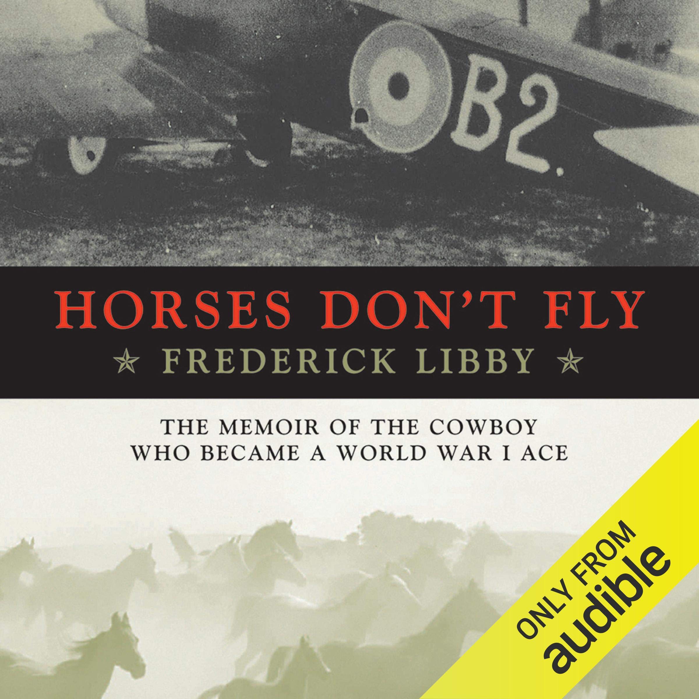 Cover art for Horses Don't Fly