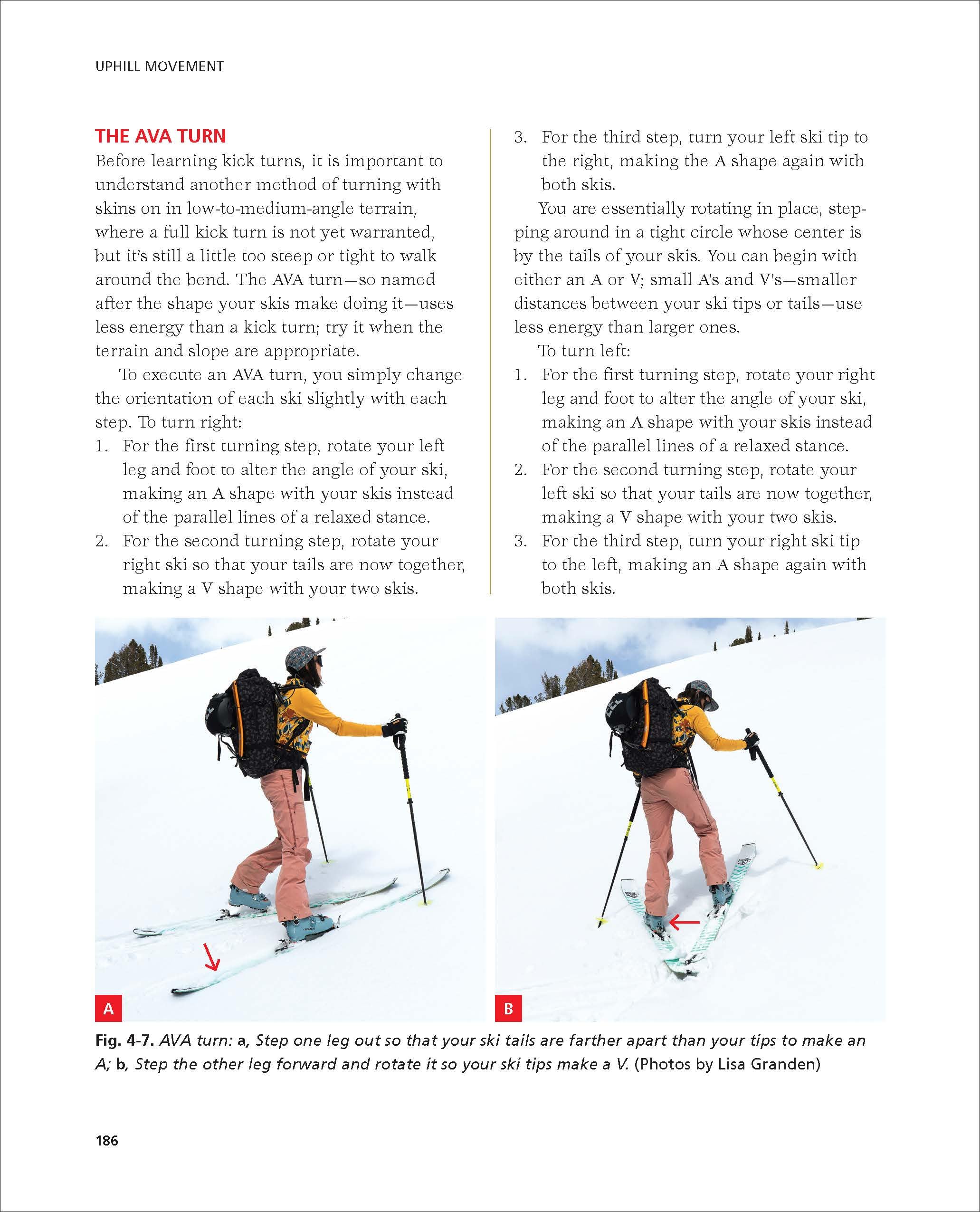 Backcountry Skiing: Skills for Ski Touring and Ski Mountaineering (Mountaineers Outdoor Expert)