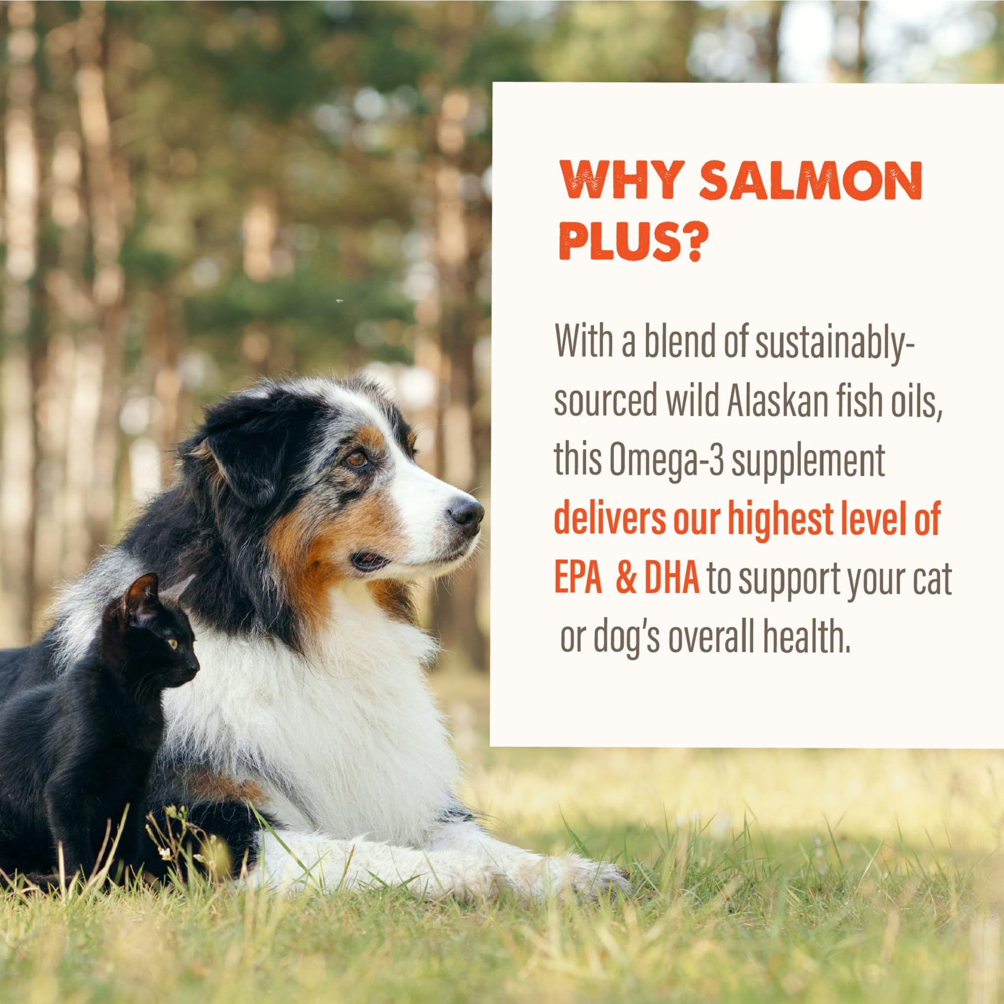 Grizzly Pet Products Salmon Plus Omega 3-6-9 Food Supplement for Dogs and Cats, 32 Ounce — Amazon image 7