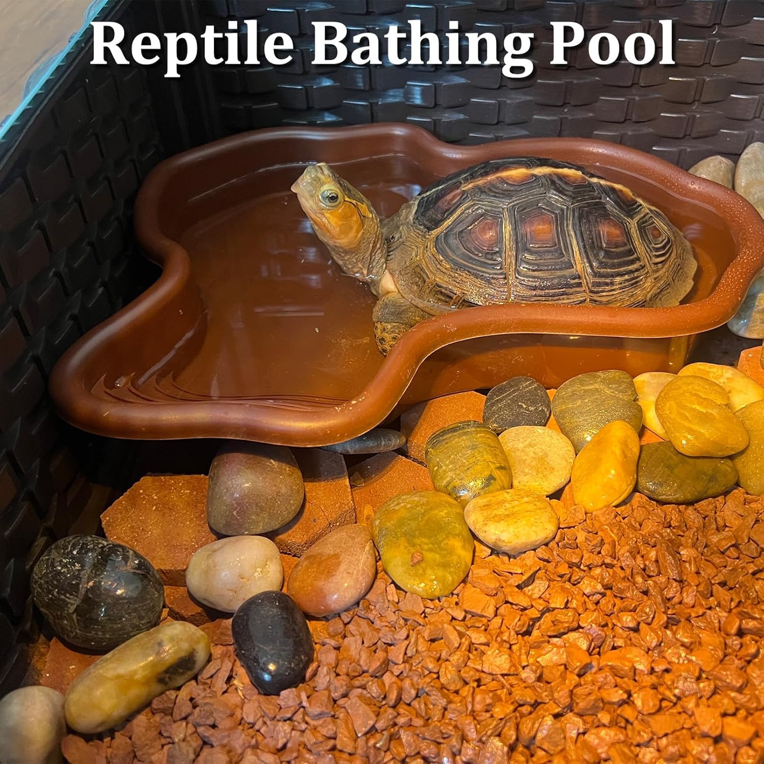MEISO Bassin pour Tortue, Baignoire pour Reptiles, Bassin Tortue Terrestre en Plastique avec Rampe Antidérapante, Piscine pour Tortues, Bol d'eau pour Reptile, Gamelle Reptiles avec Drainage