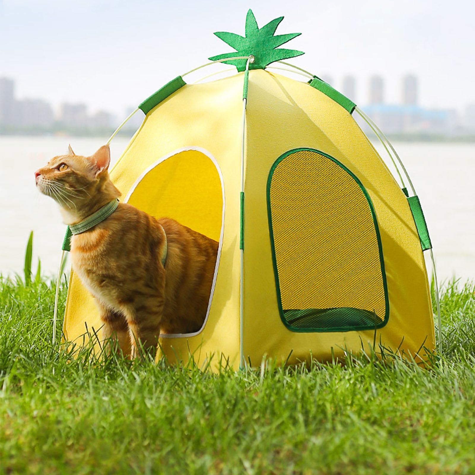 Lit pour Chat Lit pour Chaton Tente pour Chat, Lit pour Animal de Compagnie Triangle Igloo Confortable et Pliable, Maison de Grotte pour Chat en Forme d'ananas avec Coussin Amovible