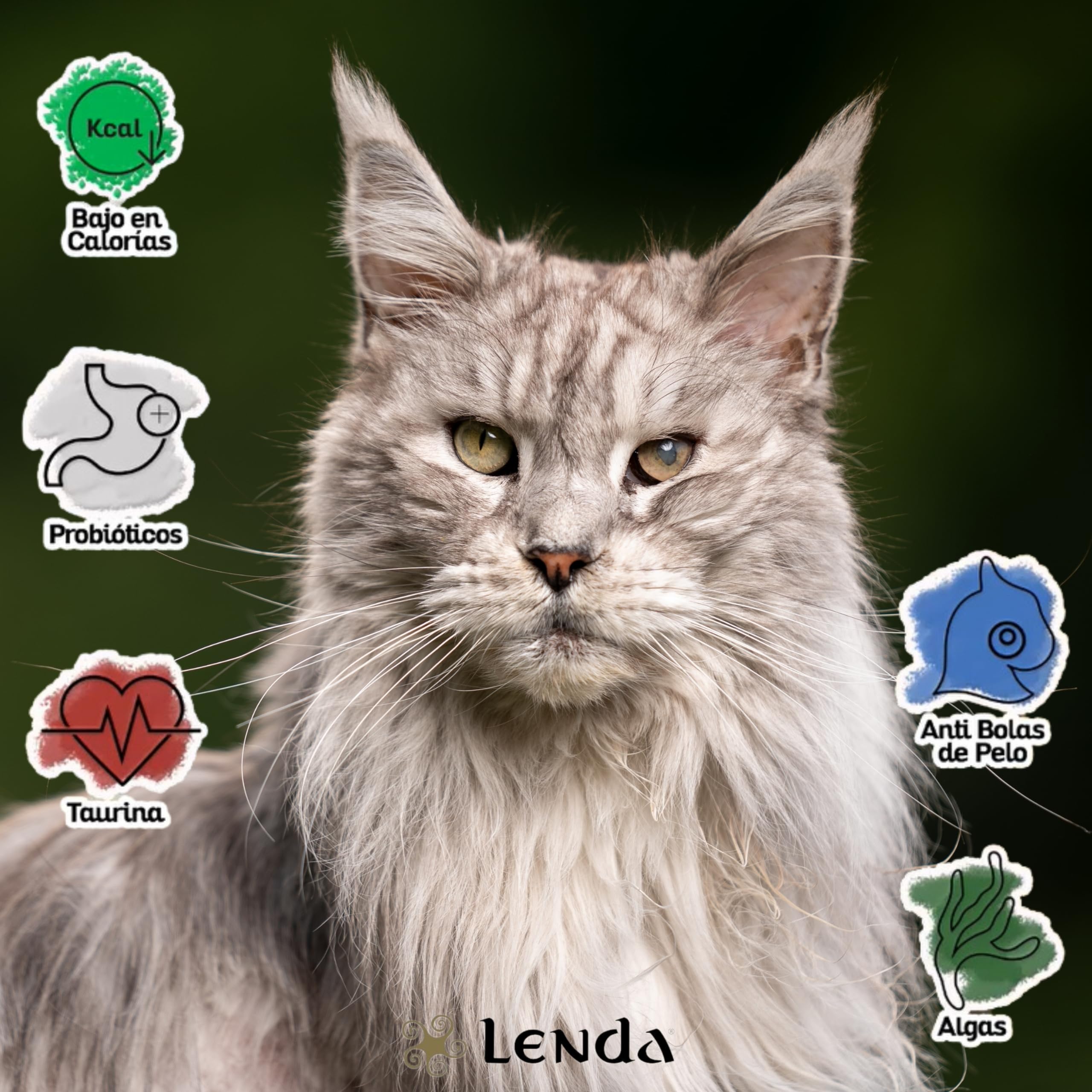Lenda Kot Senior & Wysterylizowany Drób 7 kg – Karma sucha dla wysterylizowanych kotów – Kontrola wagi – Tauryna – 1 szt.