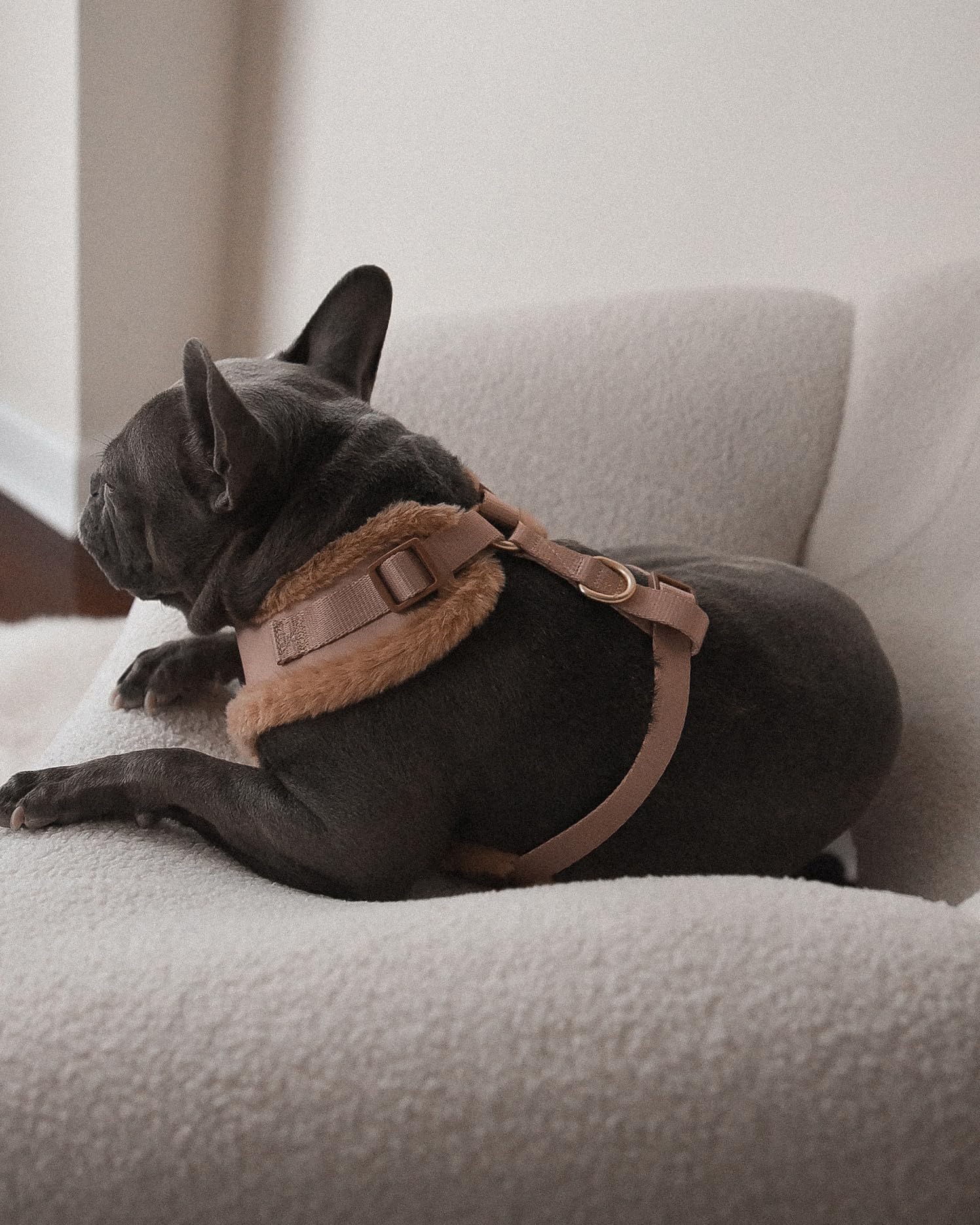 Harnais anti-traction pour chien en néoprène marron ivoire taupe design en cuir serpent réglable sport petit, moyen et grand animaux de compagnie respirant léger (bordure en fourrure beige, L : cou =