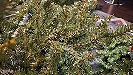 Review Image by Scholar Sage Scholar Sage