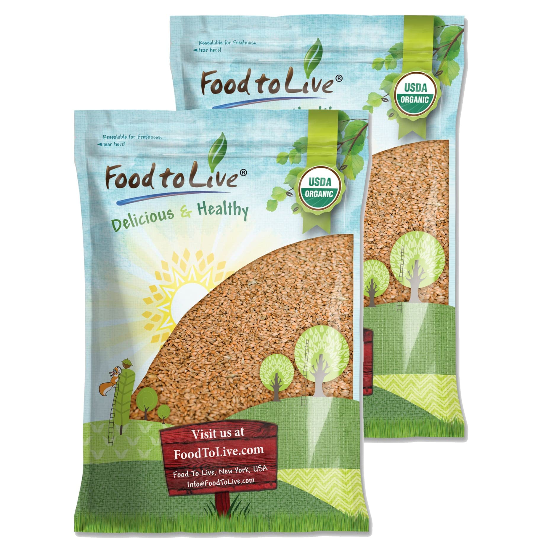Organic Hulled Barley, 20 Pounds - Non-GMO, Kosher, Raw, Bulk Grain, Product of The USA