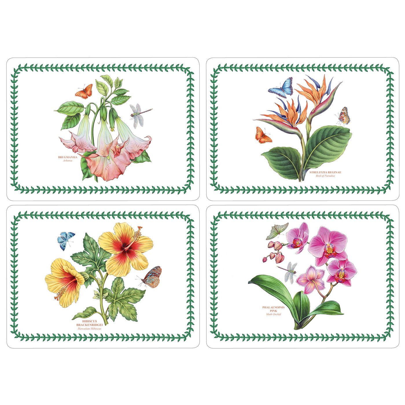 Pimpernel 40,1 x 29,8 cm Taille M Sets de Table Motif Jardin Botanique Exotique, Lot de 4, Multicolore