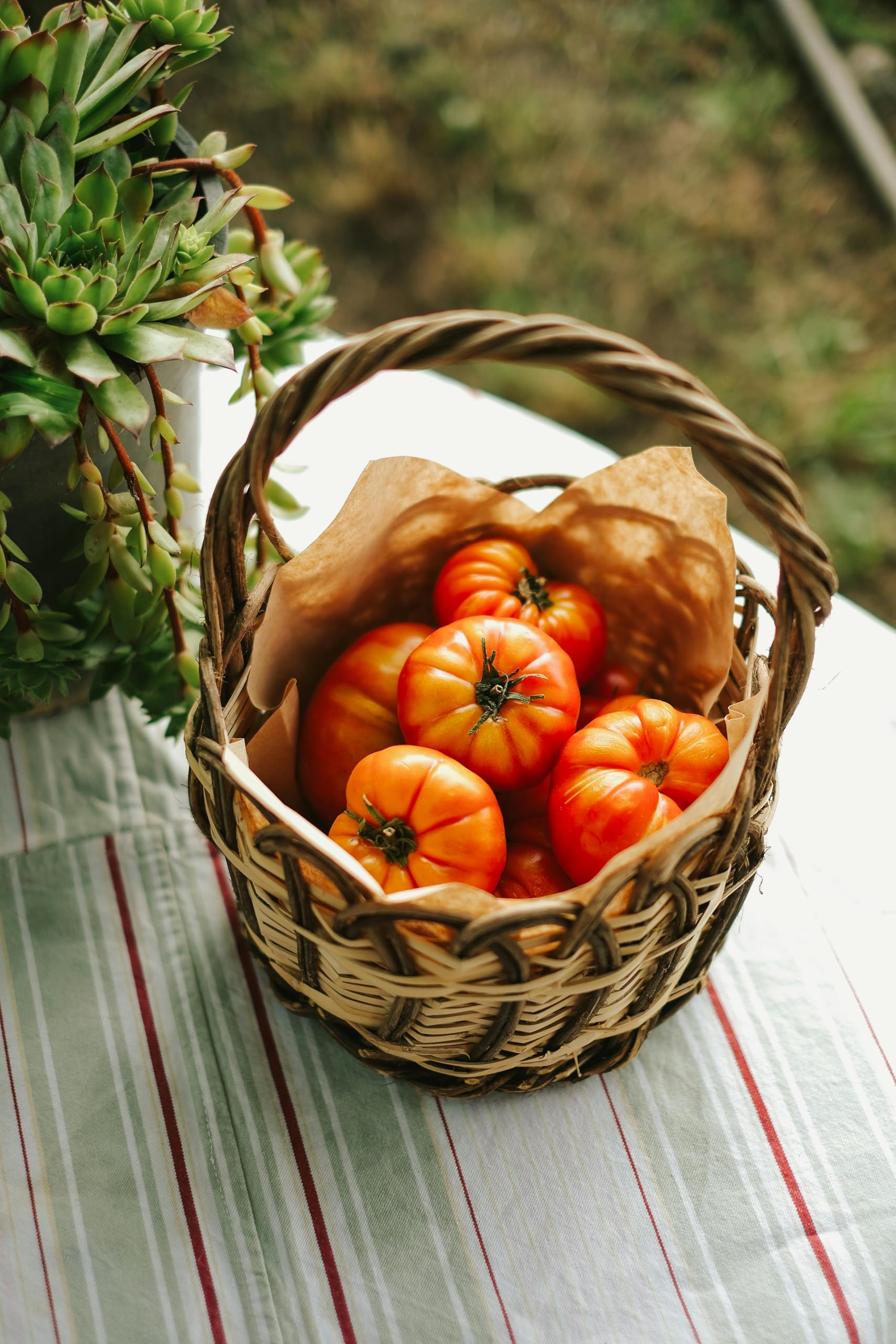 Paquete de 15 semillas de huerto – Paquete variado de reliquia de lujo, sin OMG, perfecto para jardinería y plantación en el hogar 4