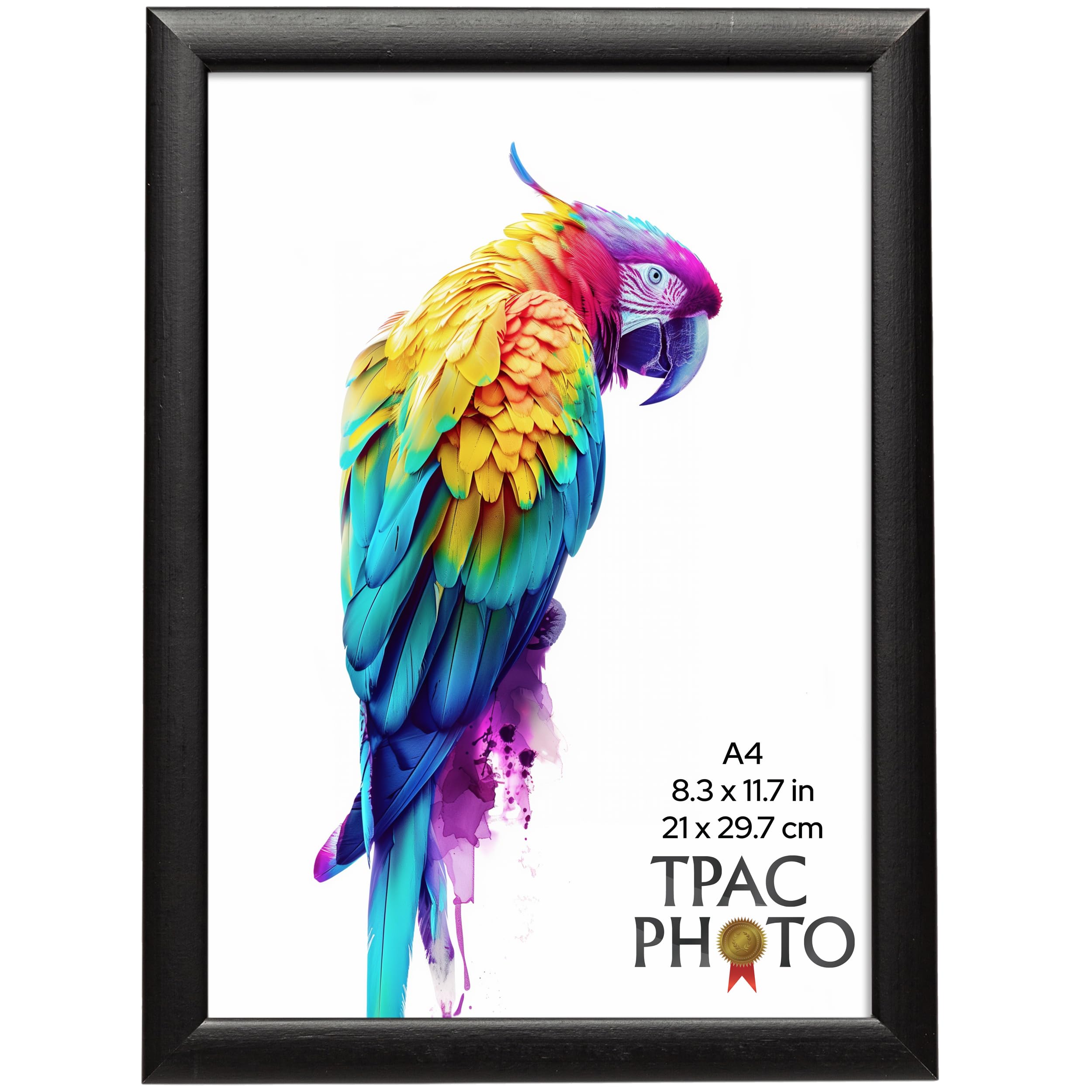 The Photo Album Company Limited Black The Photo Album Co Sherwood A4 (21X29.7cm) Photo Frame Acrylic (Non-Glass) Front Pack Of 1