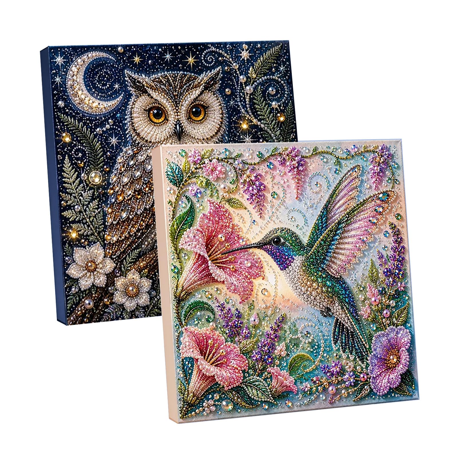 2PCS Animal Theme Pearl Art Kits for Adults Owl Hummingbird, 3D DIY Pearl Diamond Painting Art Kit with Frame, DIY Beads Decorations Crafts, Fall Home Wall Decor, Relaxing & Beginner-Friendly