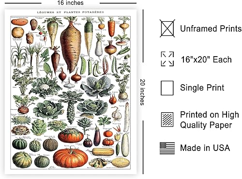 Miniatura 554 de Poster Master Póster vintage de orquídea, estampado de flores retro, arte de pared de plantas exóticas, arte botánico, regalo para hombres y