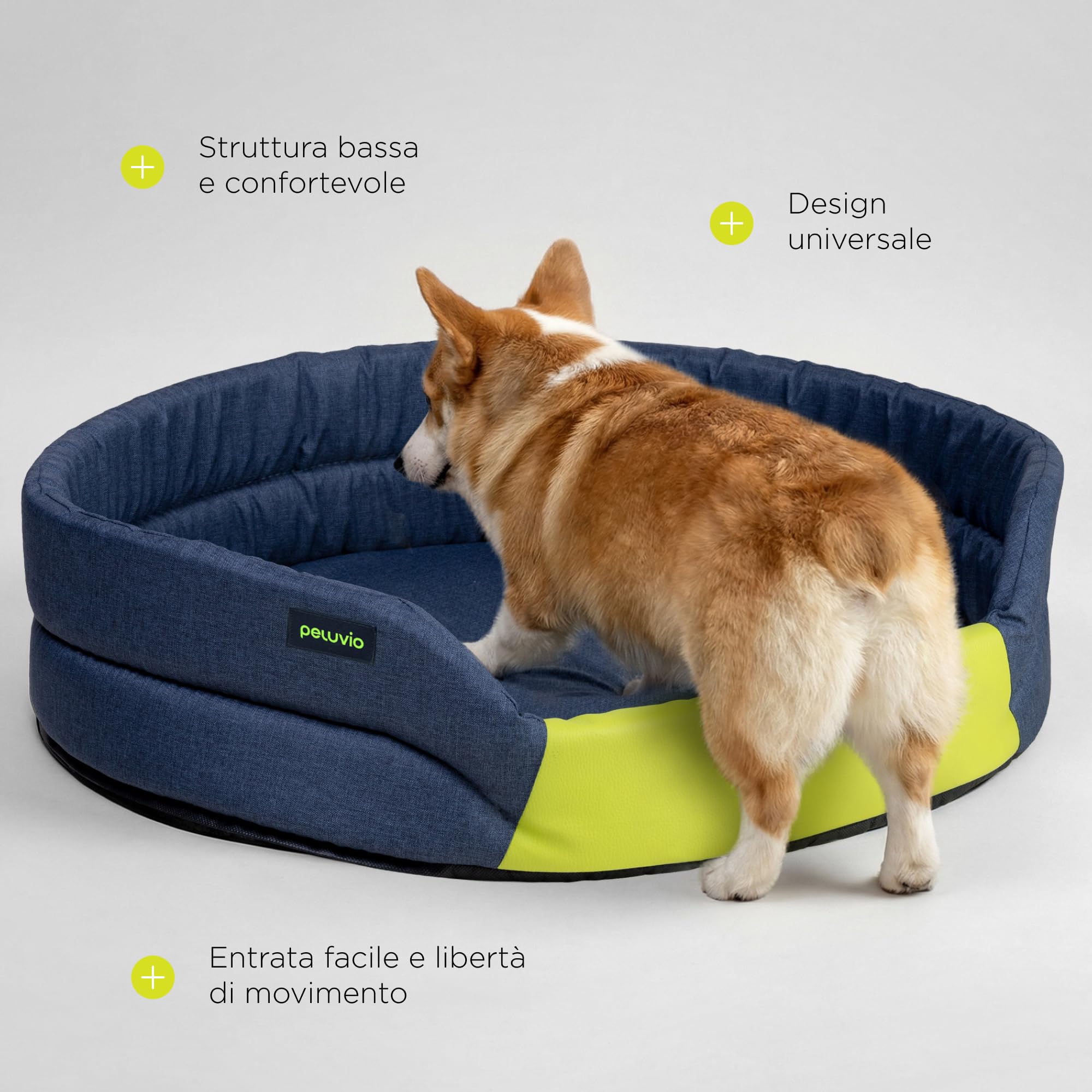 Arita Cuccia Impermeabile da Interno per Cani | Materasso senza Bordi, Rivestimento PU Idrorepellente, Fondo Antiscivolo, Leggera, Lavabile a 30°C, Taglie S, M e L