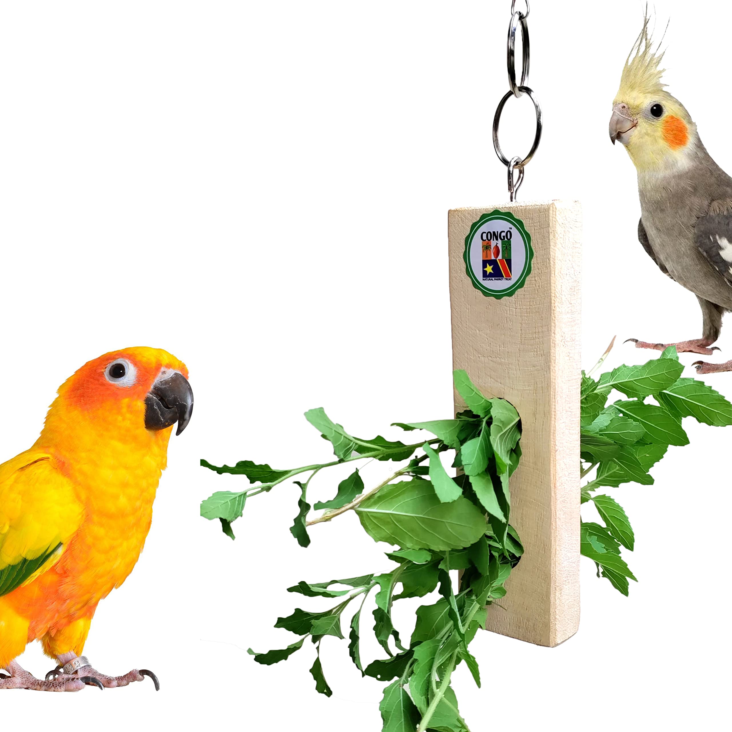 Buy Congo® Twigs Holder for Holding Natural Plant Twigs for