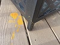 Review Image by Linz Linz