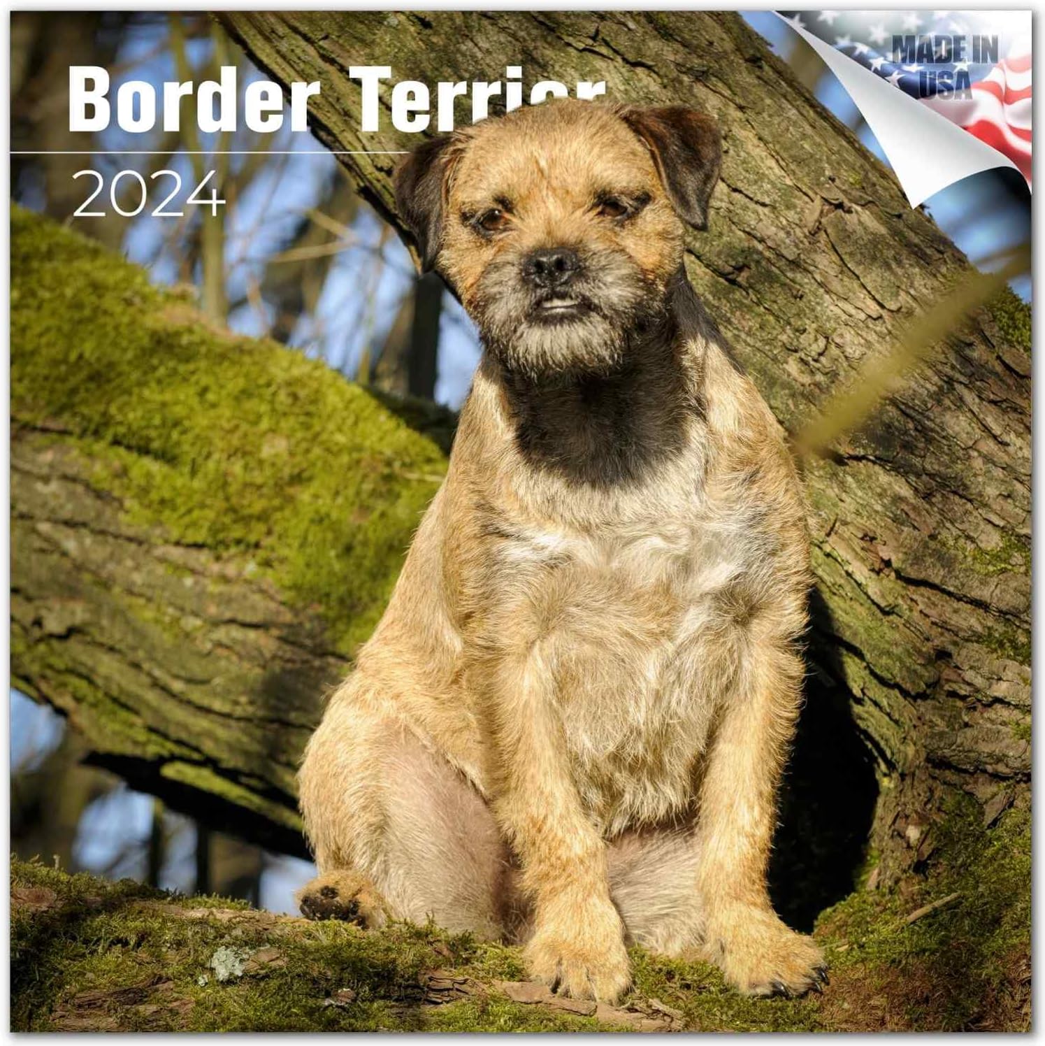 2023 2024 Border Terrier Calendar Dog Breed Monthly Wall