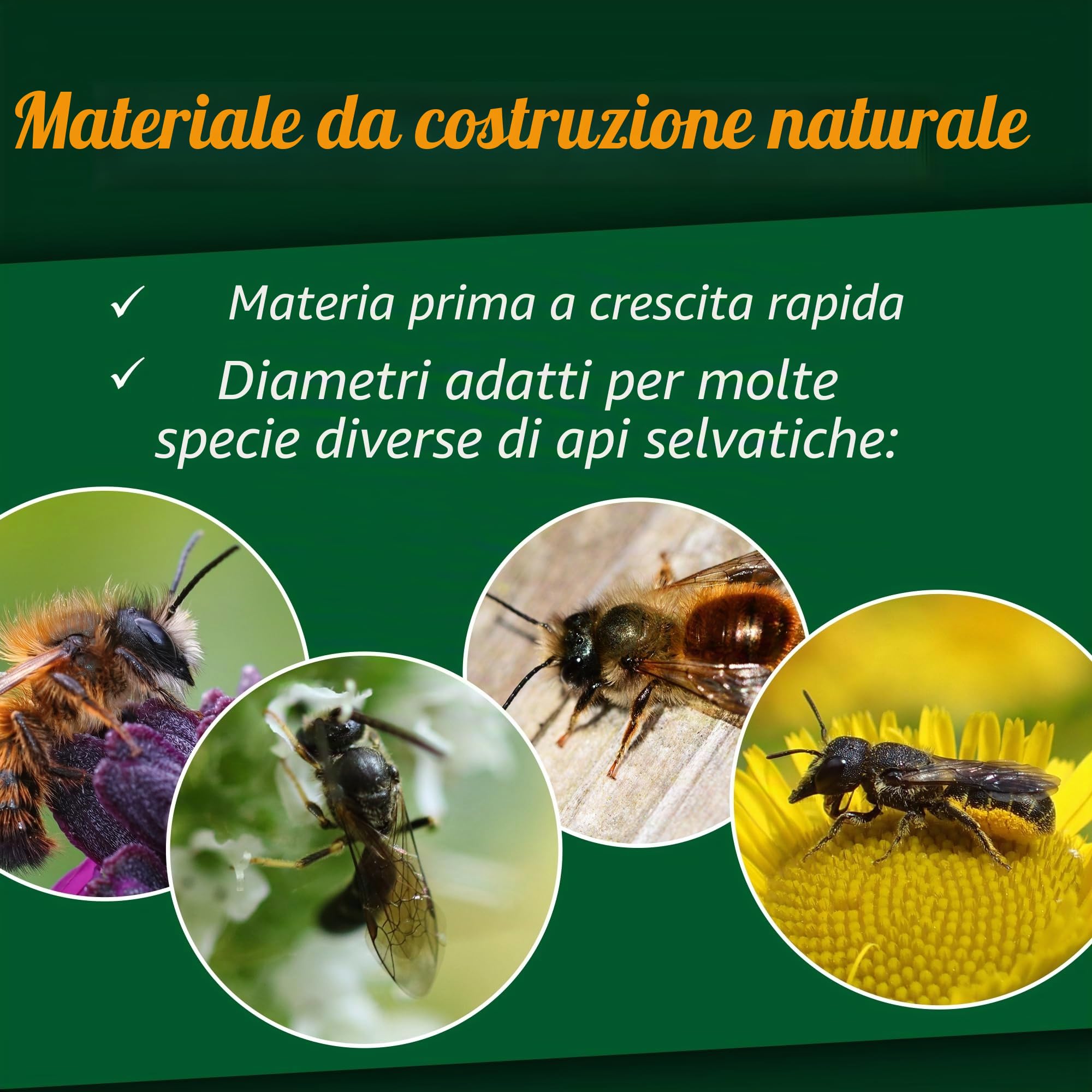 GARDIGO® Tubi in Bambù per Hotel per Insetti Premium - 300 Pz. Canne Bambù | per Nido di Api | Senza Segni, Bordi Puliti | Accessori Casa per Insetti | Hotel per Api | Bastoncini di Legno