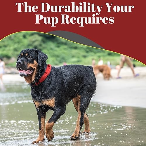 Miniatura 2 de Ridge Ramblers - Collar táctico avanzado para perro con asa - Collar de perro resistente fabricado con herrajes metálicos ligeros y acolchado de