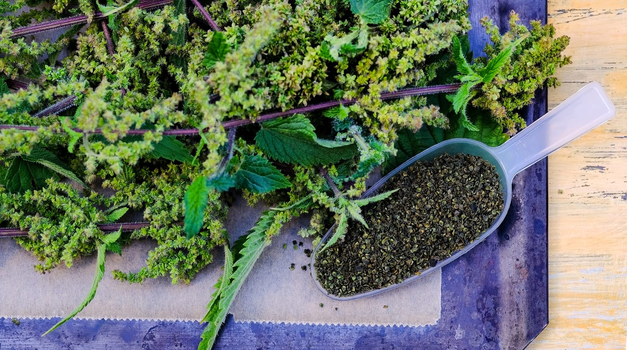 Mynatura Bio Brennnesselsamen ganz 300g I Rohkostqualität I Naturbelassen I Vitamine I Mineralien I Eiweisshaltig I Vegan I Wildsammlung I DE-ÖKO-044 I 300g Beutel (1)
