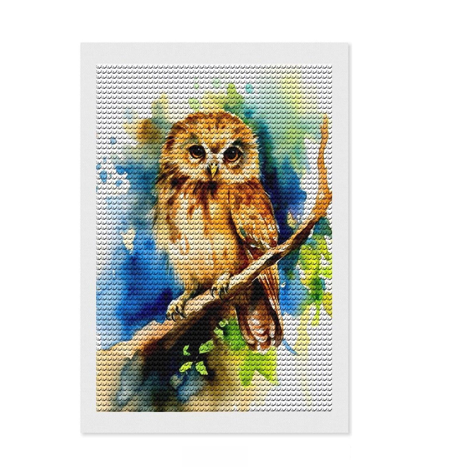 Junmoney Owl Diamond Painting Set 8"x12", for Craft Lovers, Relaxing DIY Hobby, Cosy Home Accent, Festive Craft Gift