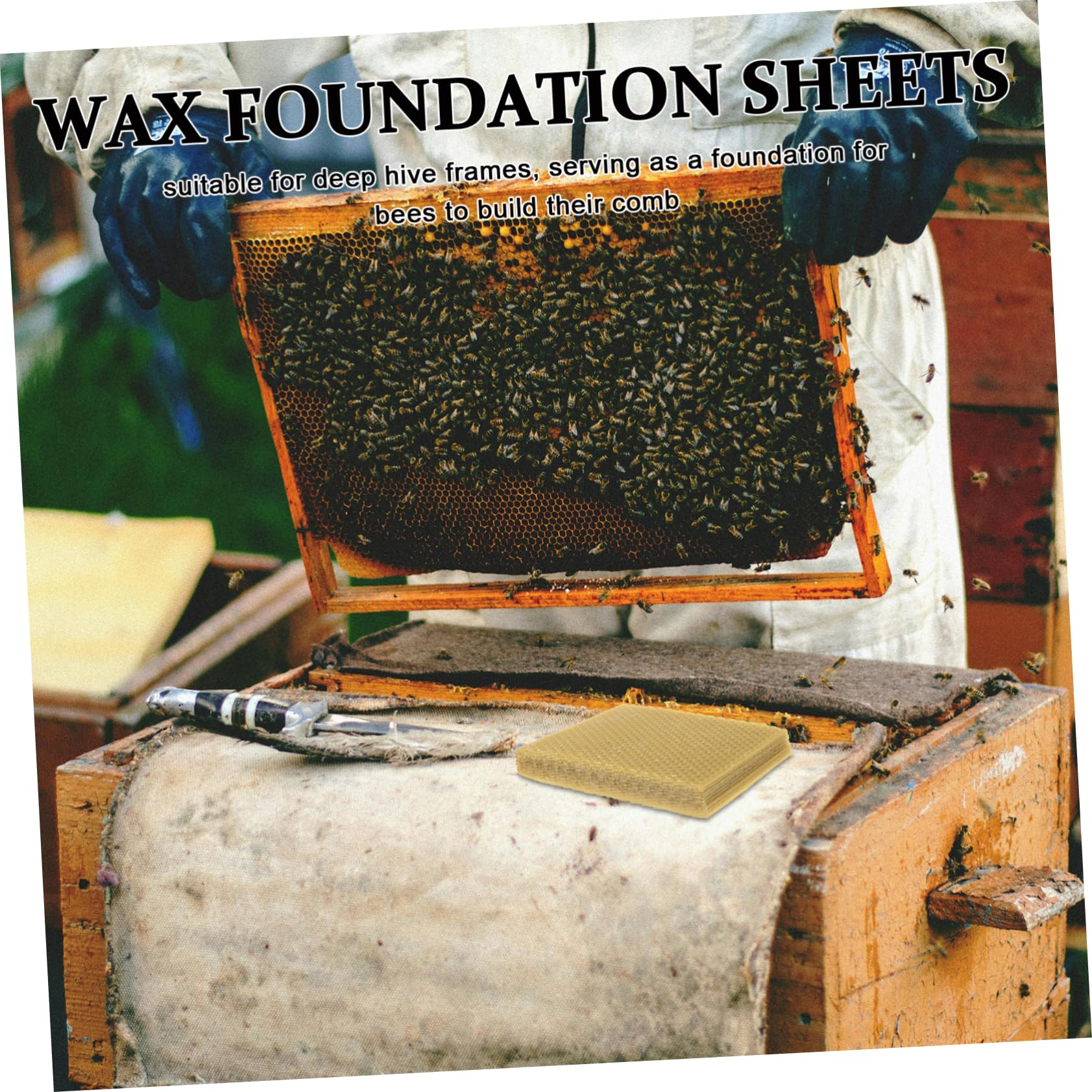TOYANDONA 10 Pièces Plaques De Cire Gaufrée pour Cadres De Ruche Équipement Apiculture Cire Abeille Naturelle pour Nid Abeille