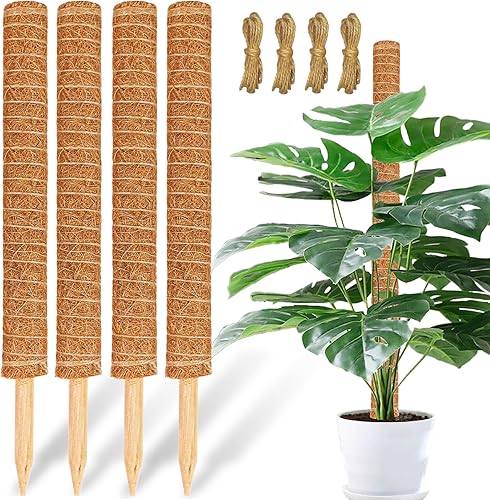 JJGoo Poste de musgo para plantas Monstera,4 Pack poste de soporte de plantas de 23.6 pulgadas, poste de tótem de coco extensible para plantas en