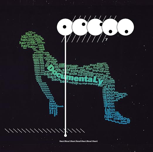 Sakanaction Documentaly Cd Dvd First Press Limited Edition A Amazon Com Music