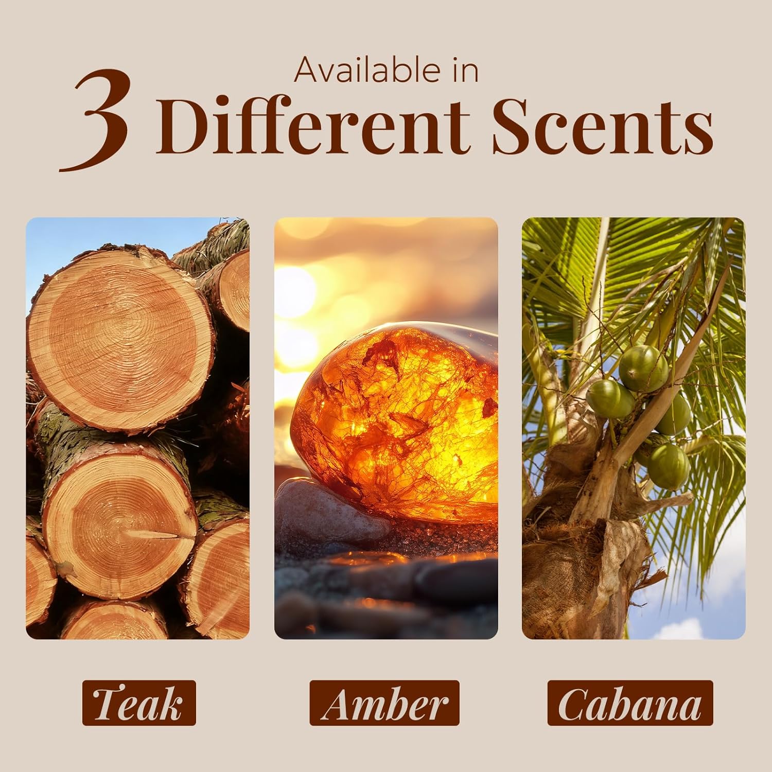 Car Air Freshener - Wood Air Freshener-Teak Amber Cabana Variety Scent Refill - Long Lasting Natural Car Fresheners - Clip Included