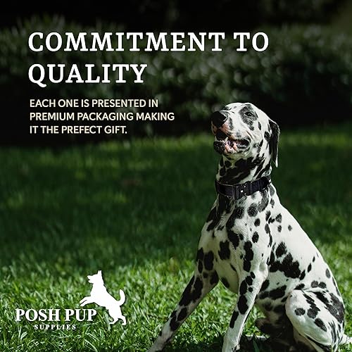 Miniatura 6 de Posh Pup Supplies Collar de perro resistente  Collar de perro de 1.5 pulgadas de grosor  Collar grande de nailon de grado militar duradero para