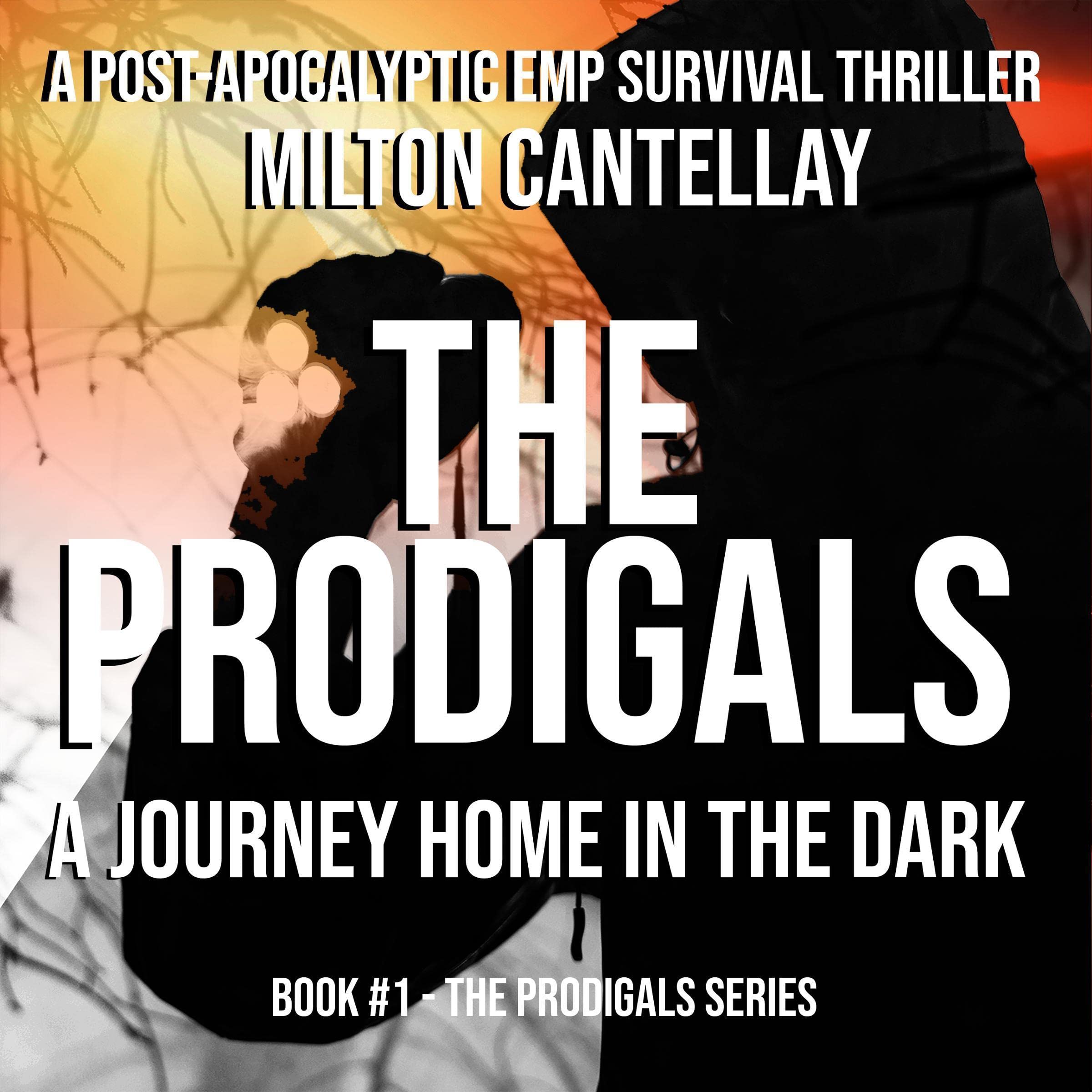 Cover art for A Journey Home in the Dark