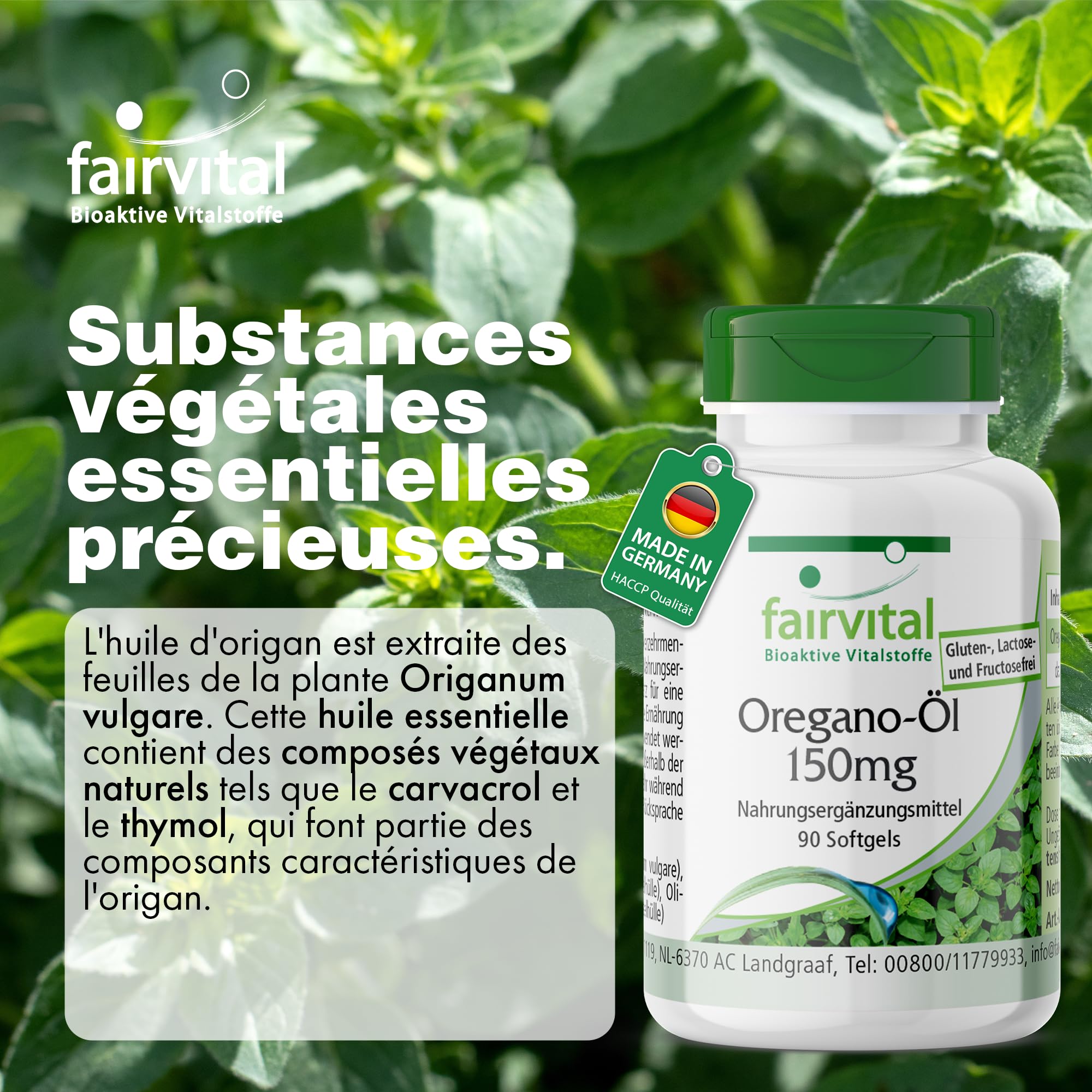 fairvital Gélules d'huile d'origan 150mg, 90 gélules molles, faciles à avaler, HAUTEMENT DOSÉES, extrait d'huile d'origan 10:1, Origanum vulgare