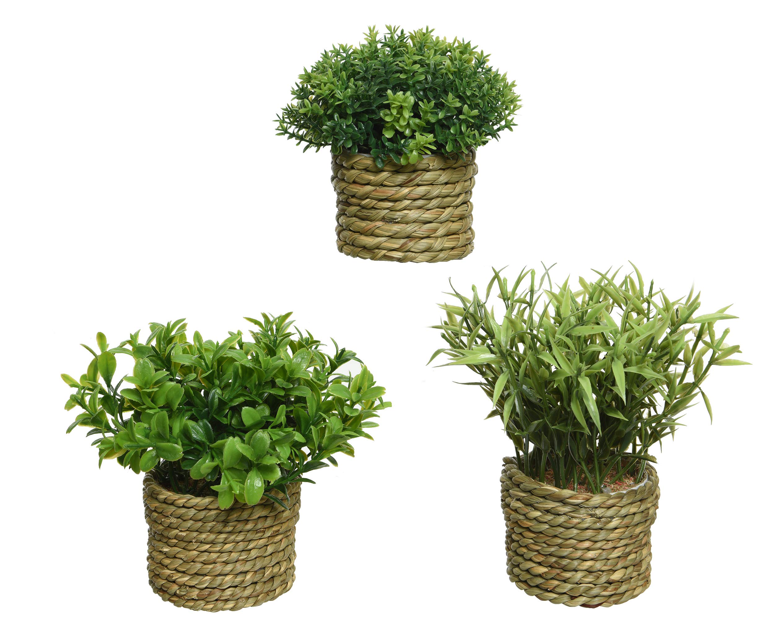 Kaemingk Agricola Pe Grass Plant In Pot Plants Fake 3Ass3 D DIA16X13CM - 4