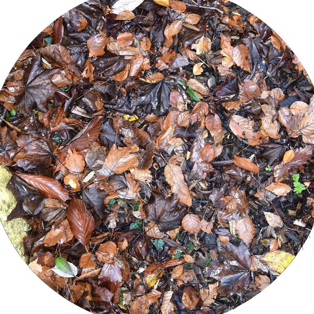 Autumn Leaves Vinyl Tuff Tray Insert - 60 x 60 cm - Ideal for Mini Tuff Spot Tuff Tray - Tuff Tray NOT Included