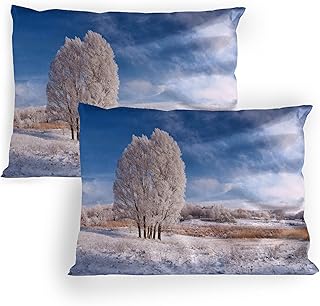 Ambesonne Nature Pillow Sham Set of 2, Winter Landscape with Snowy Foliage and Tree ICY Frozen Lands Panorama, Quality Microfiber Bedding Item for All Seasons, 26