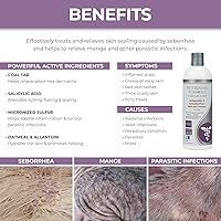 Vista 7 de Veterinary Formula Cuidado clínico Terapia de oídos para perros y gatos y paquete de champú medicado antiparasitario y antiseborreico para perros