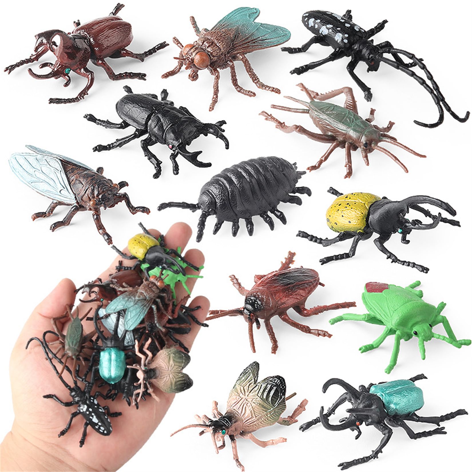 昆虫と動物トレーディングカードセット 7 Amazon.co.jp: EUHELOPA 12点セット カブトムシ アトラスオオカブト