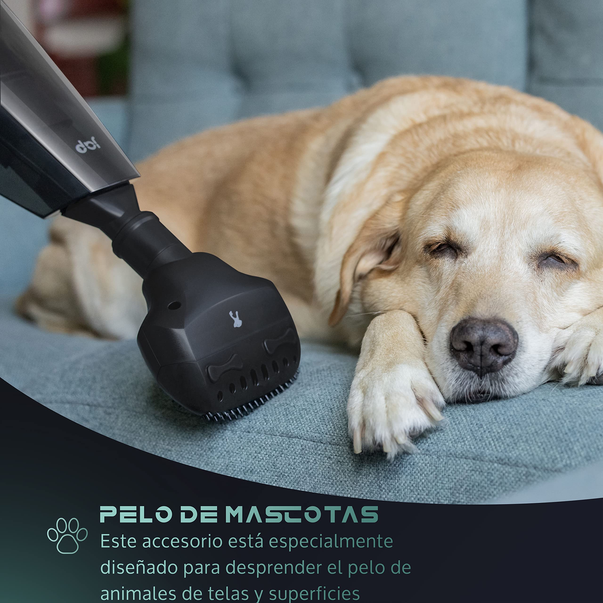 JAP S3 10000pA 22.2V Aspiradora de Mano - Pelos Mascotas - Sólidos y Líquidos - Aspirador de Coche - Inalámbrico y sin Bolsa - con 5 Accesorios - Negro