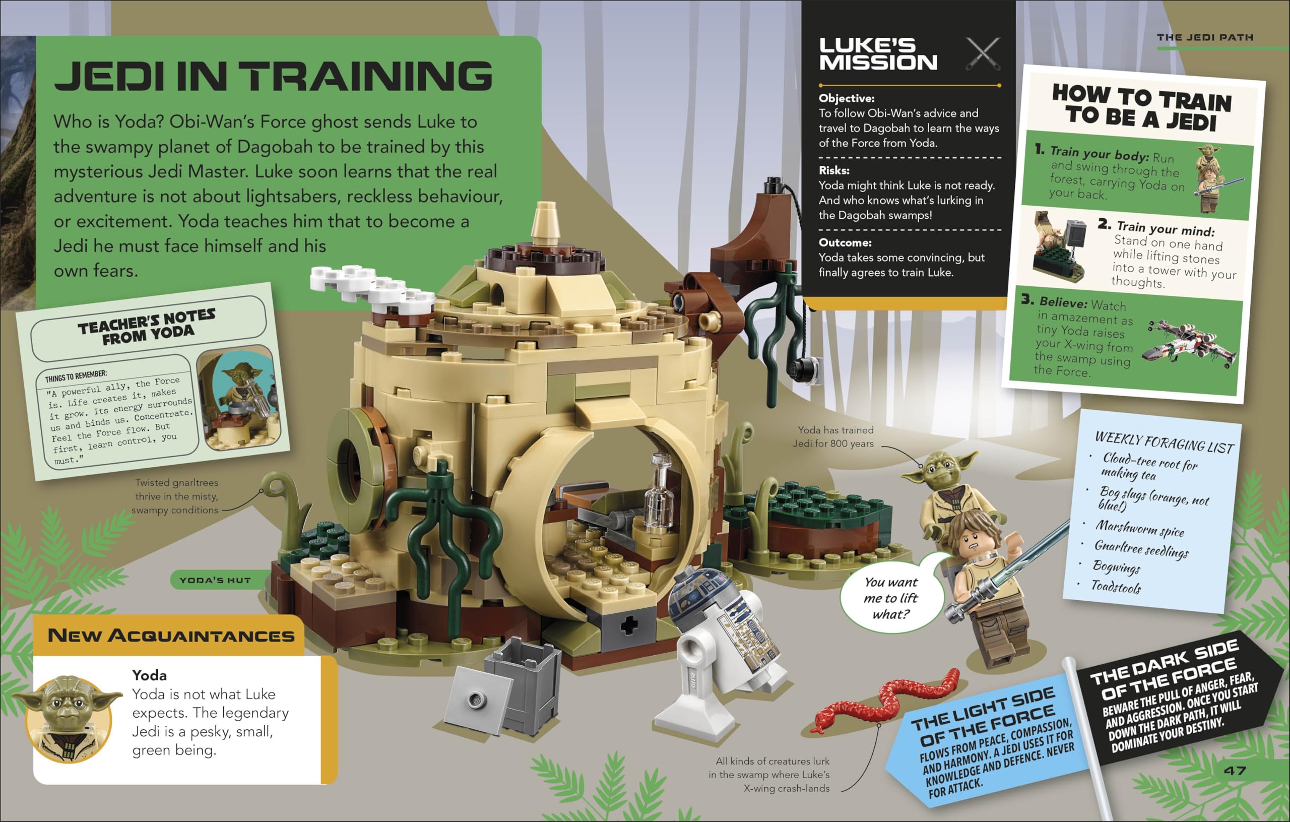 LEGO Star Wars Luke Skywalker's Galactic Adventures: Subtitle: With Luke Skywalker Minifigure